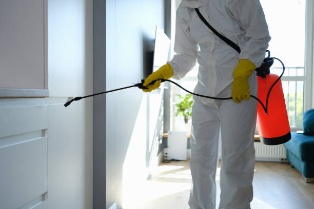 Best Bathroom Mold Remediation in Hudsonville, MI
